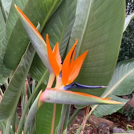 Rose De Sel Appartement